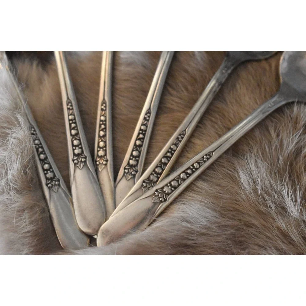 Six‎ WM Rogers Pricilla-ladyann teaspoons Original Rogers silverplate flatware